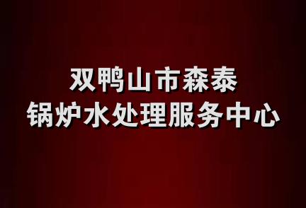 双鸭山市森泰锅炉水处理服务中心