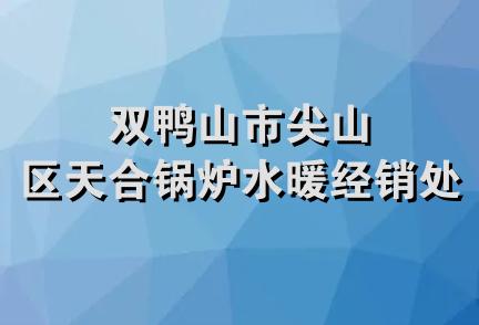 双鸭山市尖山区天合锅炉水暖经销处