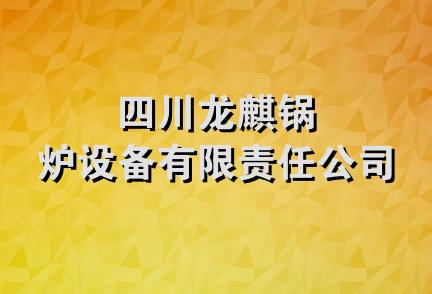 四川龙麒锅炉设备有限责任公司