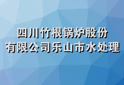 四川竹根锅炉股份有限公司乐山市水处理设备厂