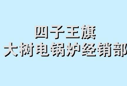 四子王旗大树电锅炉经销部