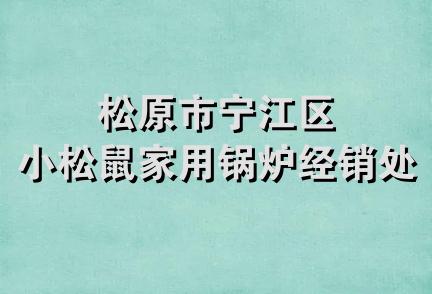 松原市宁江区小松鼠家用锅炉经销处