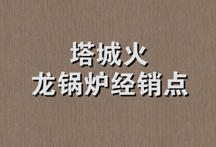 塔城火龙锅炉经销点