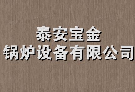 泰安宝金锅炉设备有限公司