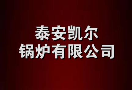 泰安凯尔锅炉有限公司