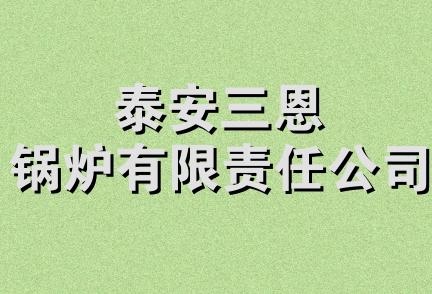 泰安三恩锅炉有限责任公司