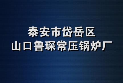 泰安市岱岳区山口鲁琛常压锅炉厂