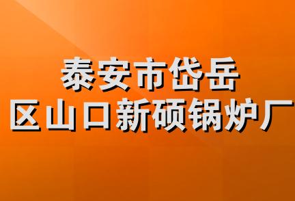 泰安市岱岳区山口新硕锅炉厂