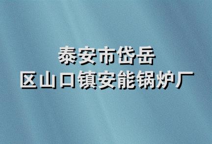 泰安市岱岳区山口镇安能锅炉厂