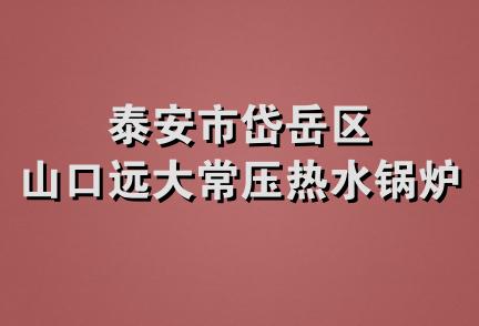 泰安市岱岳区山口远大常压热水锅炉厂