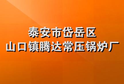 泰安市岱岳区山口镇腾达常压锅炉厂