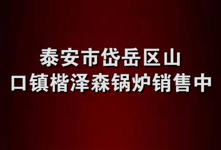 泰安市岱岳区山口镇楷泽森锅炉销售中心