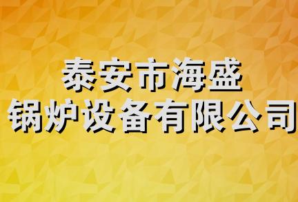 泰安市海盛锅炉设备有限公司