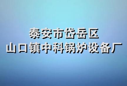 泰安市岱岳区山口镇中科锅炉设备厂