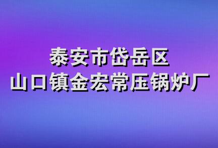 泰安市岱岳区山口镇金宏常压锅炉厂