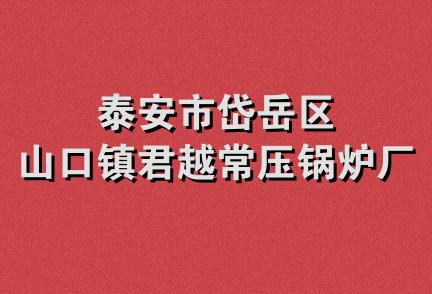 泰安市岱岳区山口镇君越常压锅炉厂