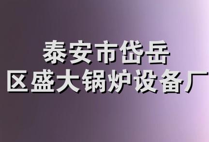 泰安市岱岳区盛大锅炉设备厂