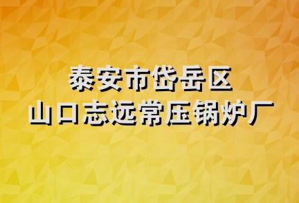 泰安市岱岳区山口志远常压锅炉厂