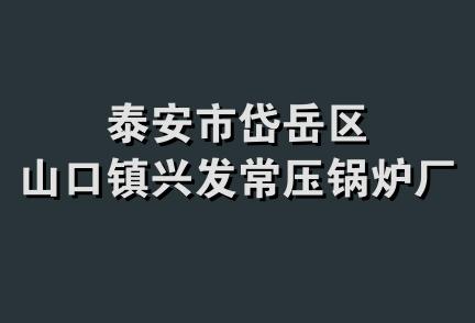 泰安市岱岳区山口镇兴发常压锅炉厂