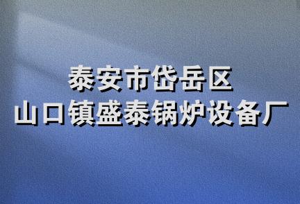 泰安市岱岳区山口镇盛泰锅炉设备厂