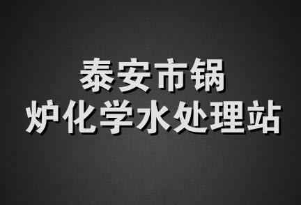 泰安市锅炉化学水处理站