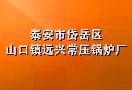 泰安市岱岳区山口镇远兴常压锅炉厂