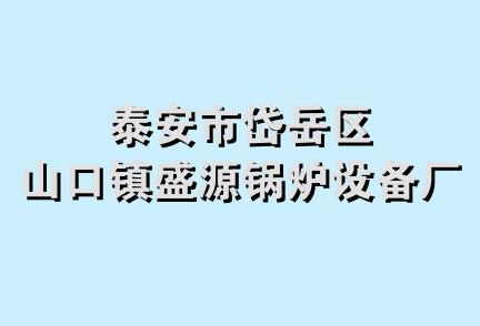 泰安市岱岳区山口镇盛源锅炉设备厂