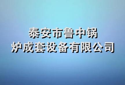 泰安市鲁中锅炉成套设备有限公司