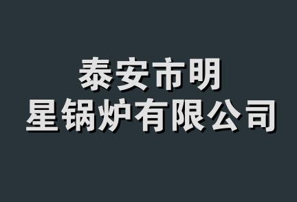 泰安市明星锅炉有限公司