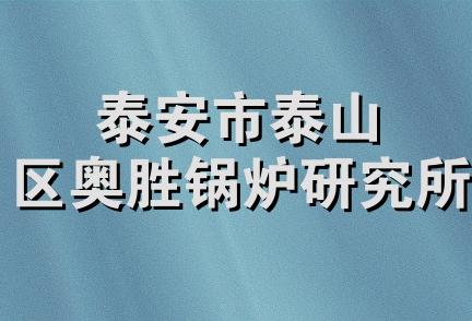 泰安市泰山区奥胜锅炉研究所