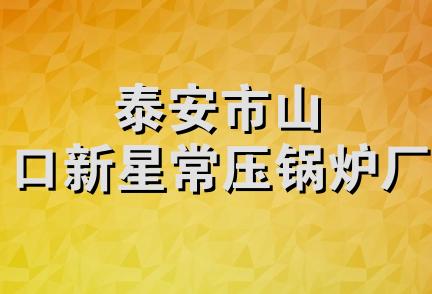 泰安市山口新星常压锅炉厂