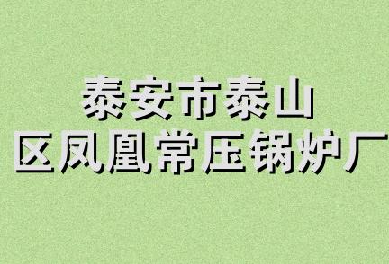 泰安市泰山区凤凰常压锅炉厂