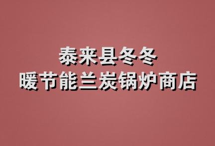 泰来县冬冬暖节能兰炭锅炉商店