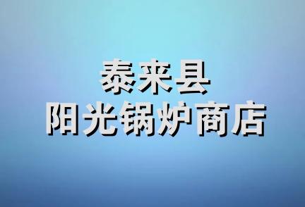 泰来县阳光锅炉商店