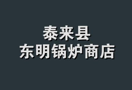 泰来县东明锅炉商店