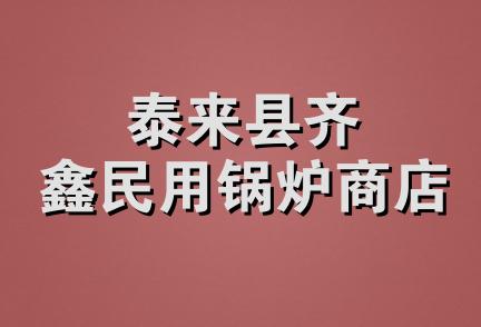 泰来县齐鑫民用锅炉商店