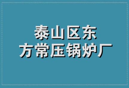 泰山区东方常压锅炉厂