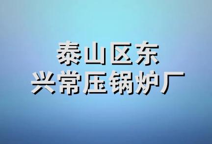 泰山区东兴常压锅炉厂