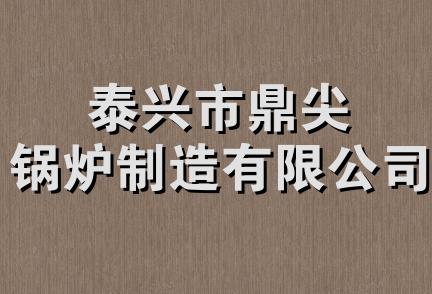 泰兴市鼎尖锅炉制造有限公司