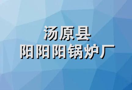 汤原县阳阳阳锅炉厂