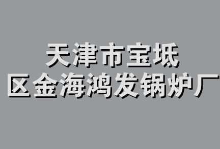 天津市宝坻区金海鸿发锅炉厂