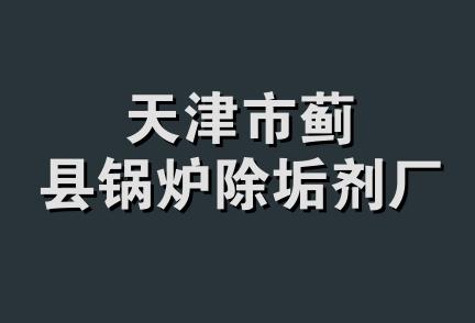 天津市蓟县锅炉除垢剂厂