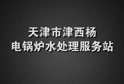 天津市津西杨电锅炉水处理服务站