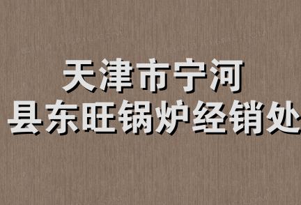 天津市宁河县东旺锅炉经销处