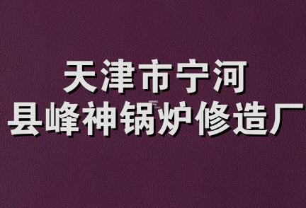 天津市宁河县峰神锅炉修造厂