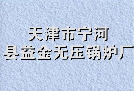 天津市宁河县益金无压锅炉厂