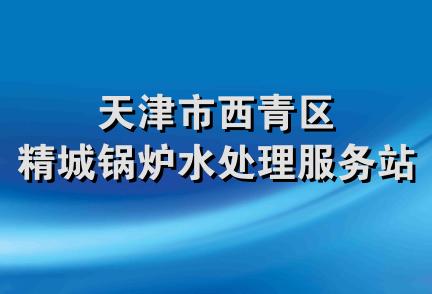 天津市西青区精城锅炉水处理服务站