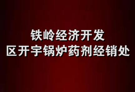 铁岭经济开发区开宇锅炉药剂经销处