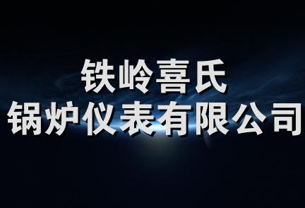 铁岭喜氏锅炉仪表有限公司