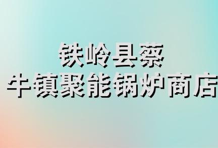 铁岭县蔡牛镇聚能锅炉商店